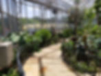 Botanical gardens.jpg