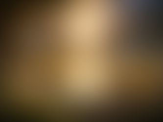 The Will of Wonder: The Force That Stitches the World