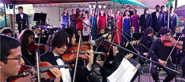 Opera de Tijuana_preview.jpeg