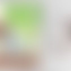 Foto-album met acrylglas bruiloft