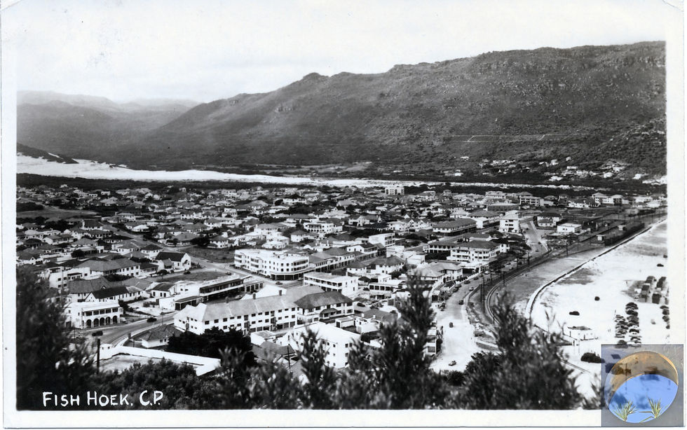 72086581_10156325782785811_5961179435913707520_n