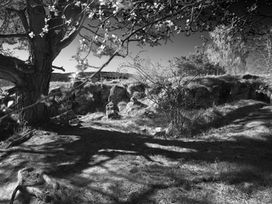 Mindful Photography: Archetypen in der Photographie