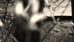 Photographie und Selbsterkenntnis: Was zu wissen ist, wenn es Zeit nicht gibt