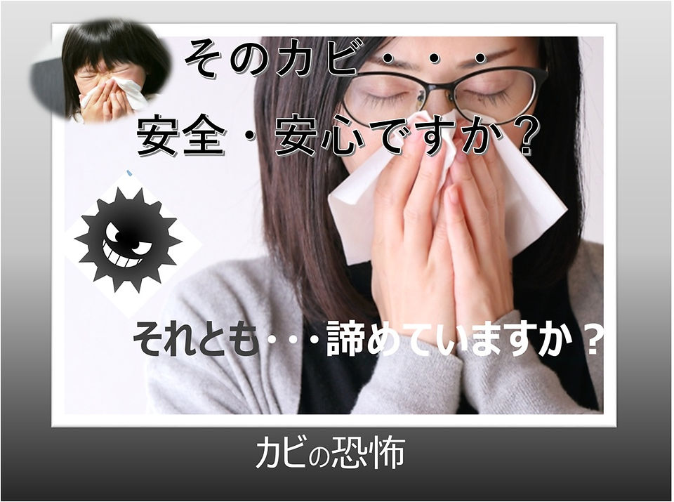 カビの恐怖jpg.jpg