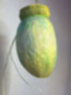 Dinoflagellat