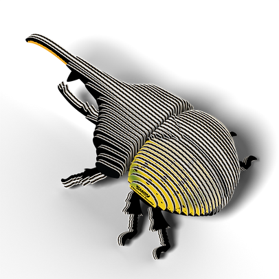 01_Kiwi_3.jpg