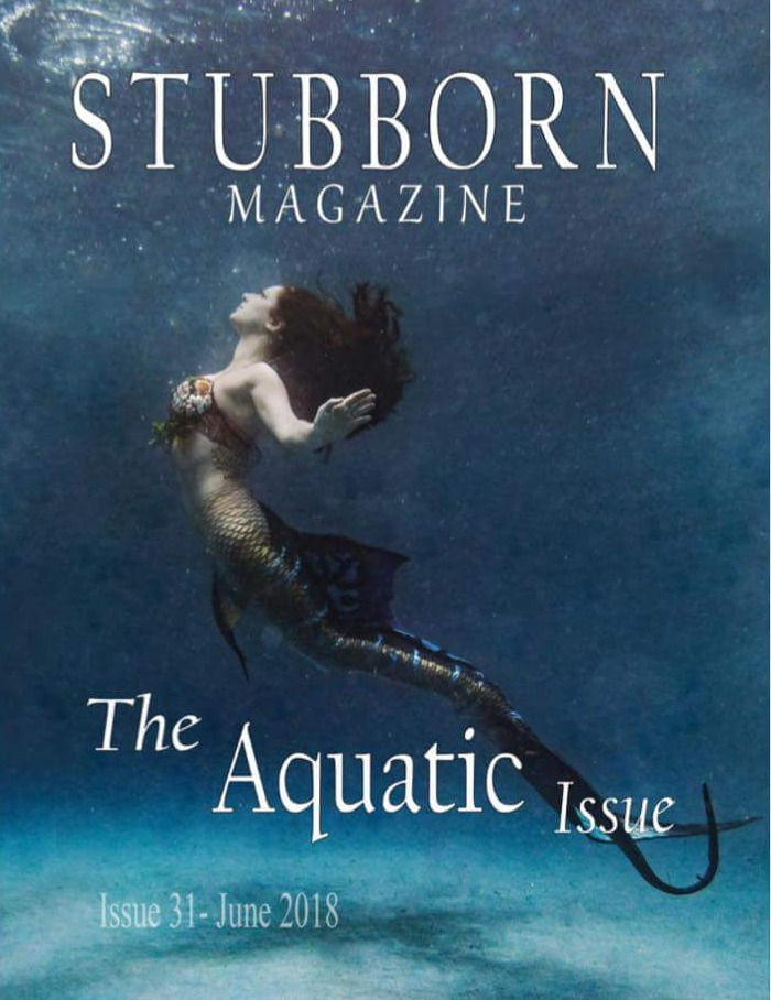 Client Photo Gallery Eulalia Designs