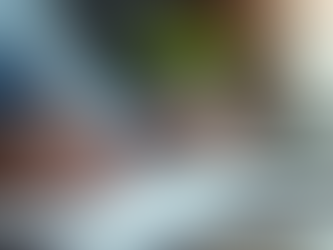 Why Personalized Wellness Programs Matter for You