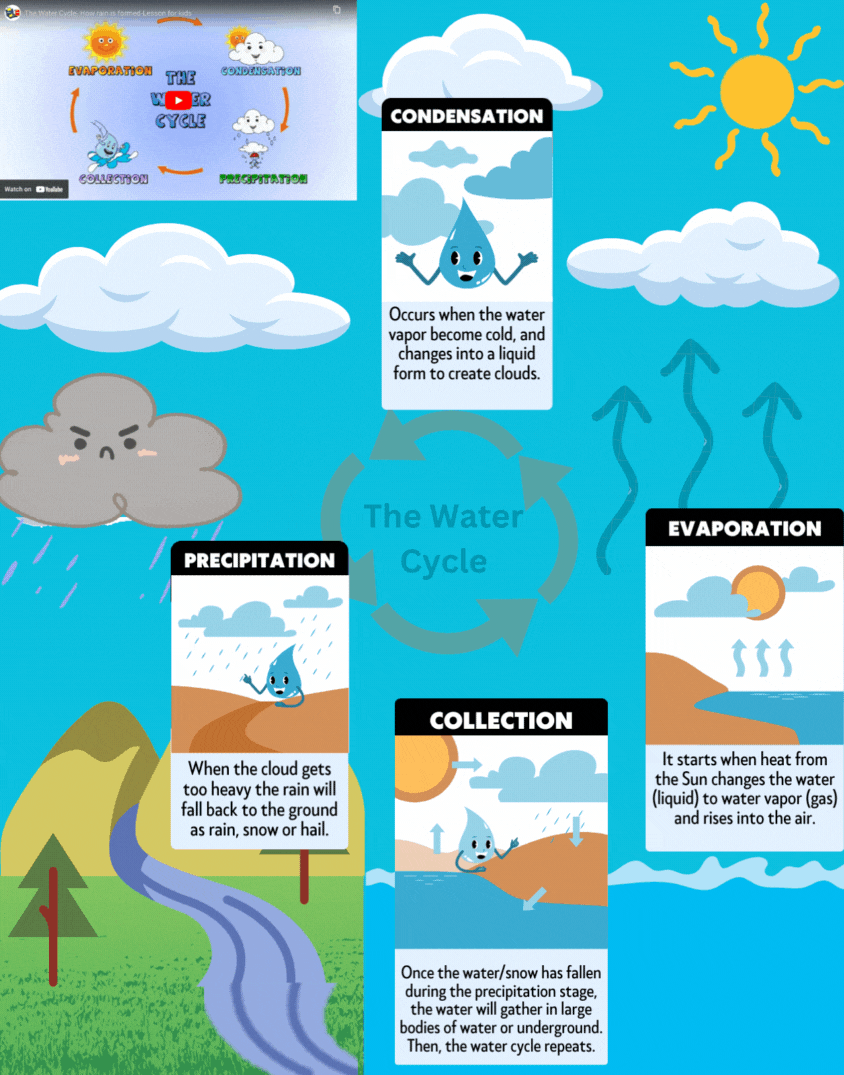 The Water Cycle.gif