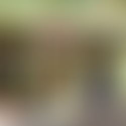 【MBCニュース報道】ニューヨーク・ソーホーからアッパー・イースト・サイドまで、K-Beautyのオフライン革新の中心に「ChoiceDx」