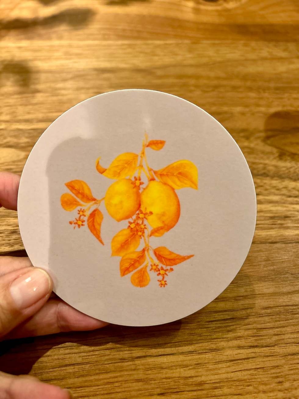 Thumbnail: Set of 10 coasters