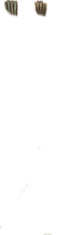 002957_edited.png