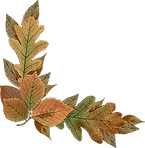 005739_edited.png