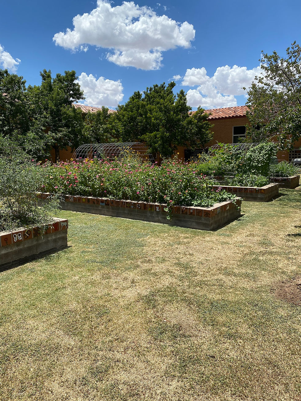 RW Magic Garden