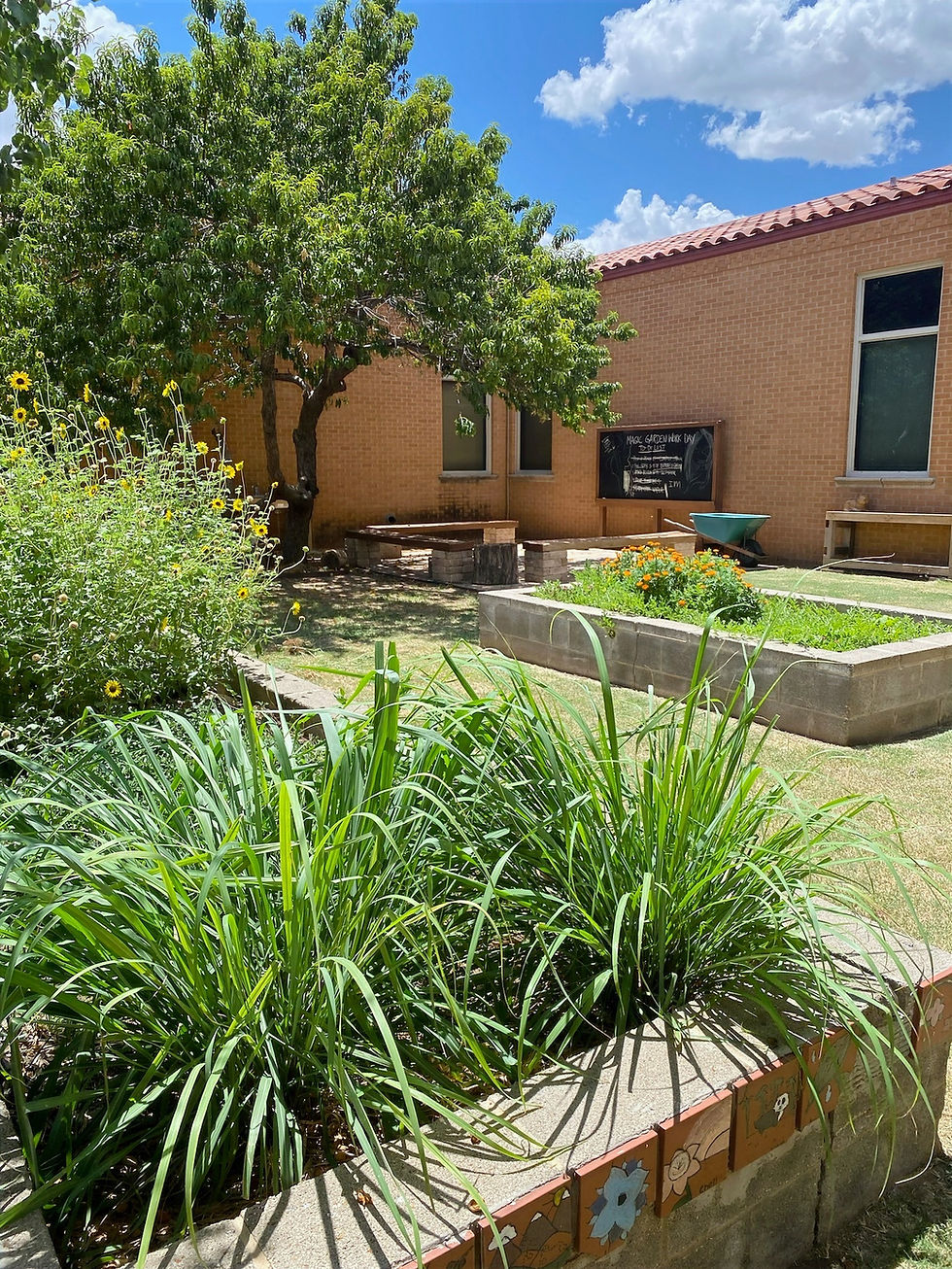 Brown Elementary