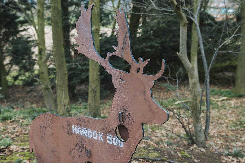 Steel Target Co-96.jpg