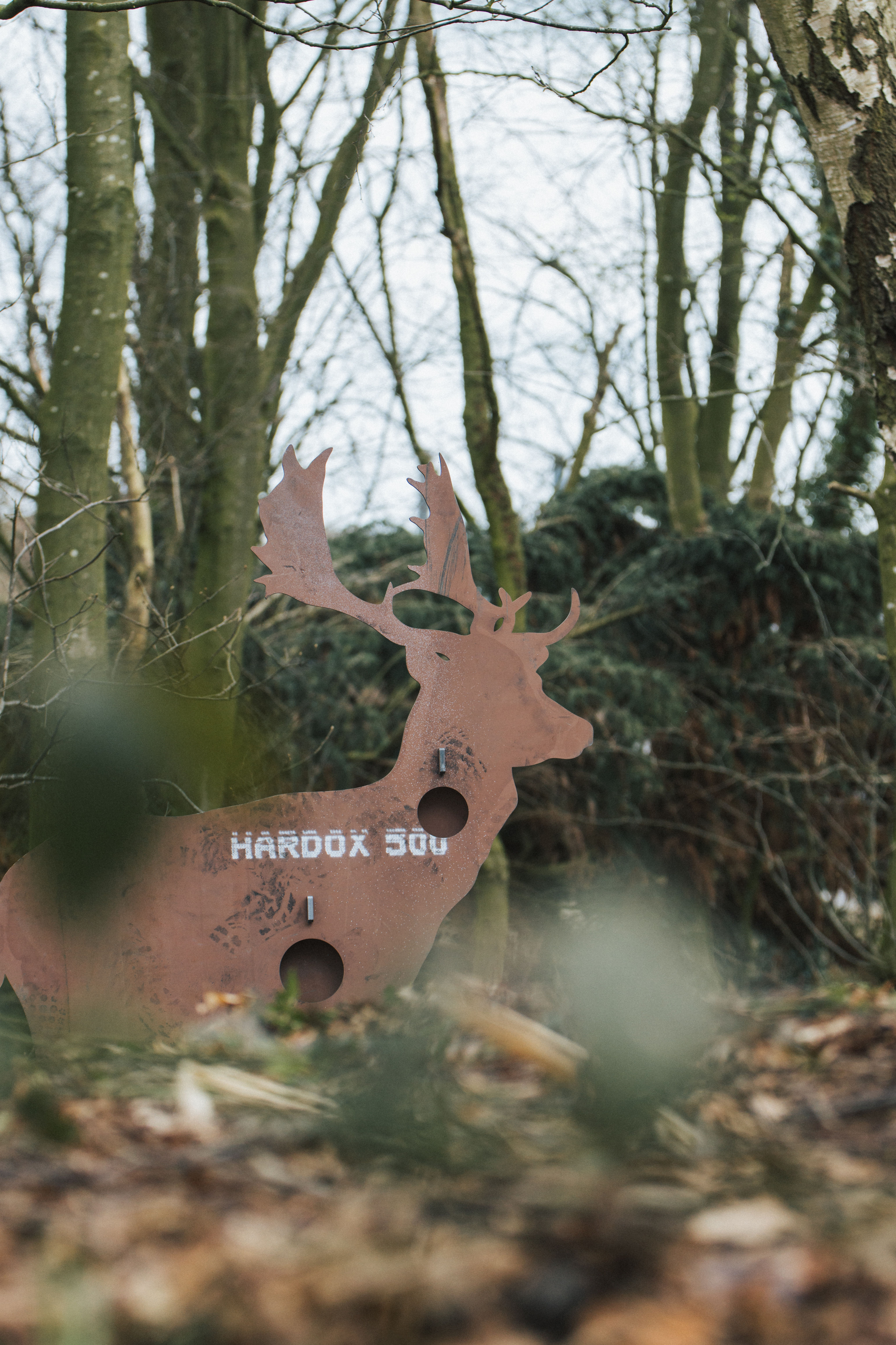 Fallow Buck AR500