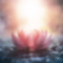 goshtasbi-method-tantra-terapeutico
