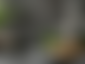 Sesiones de Tantra en Madrid: Sanación Profunda a Través del Placer Consciente