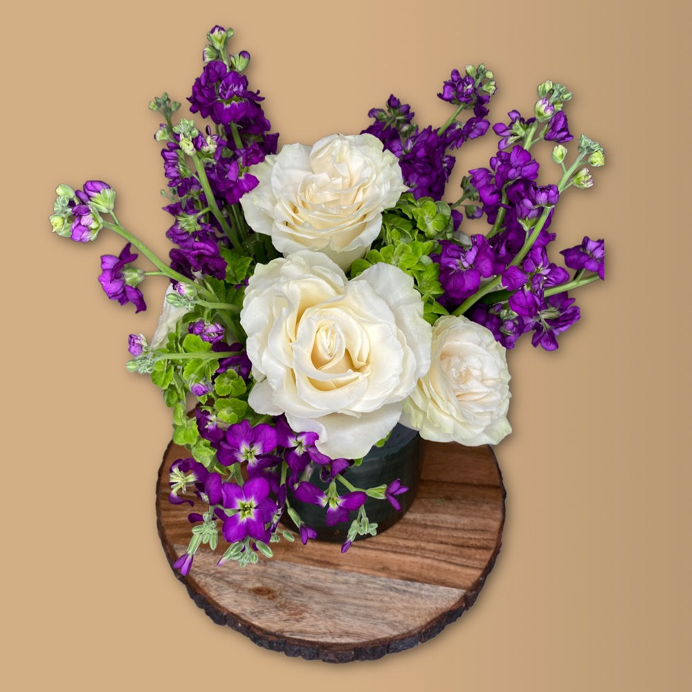 Designer’s Choice: Sympathy