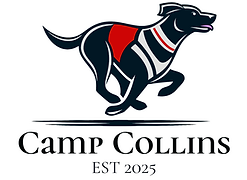 Camp Collins.png