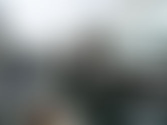 Why Amsterdam Is Giving Up on Natural Gas