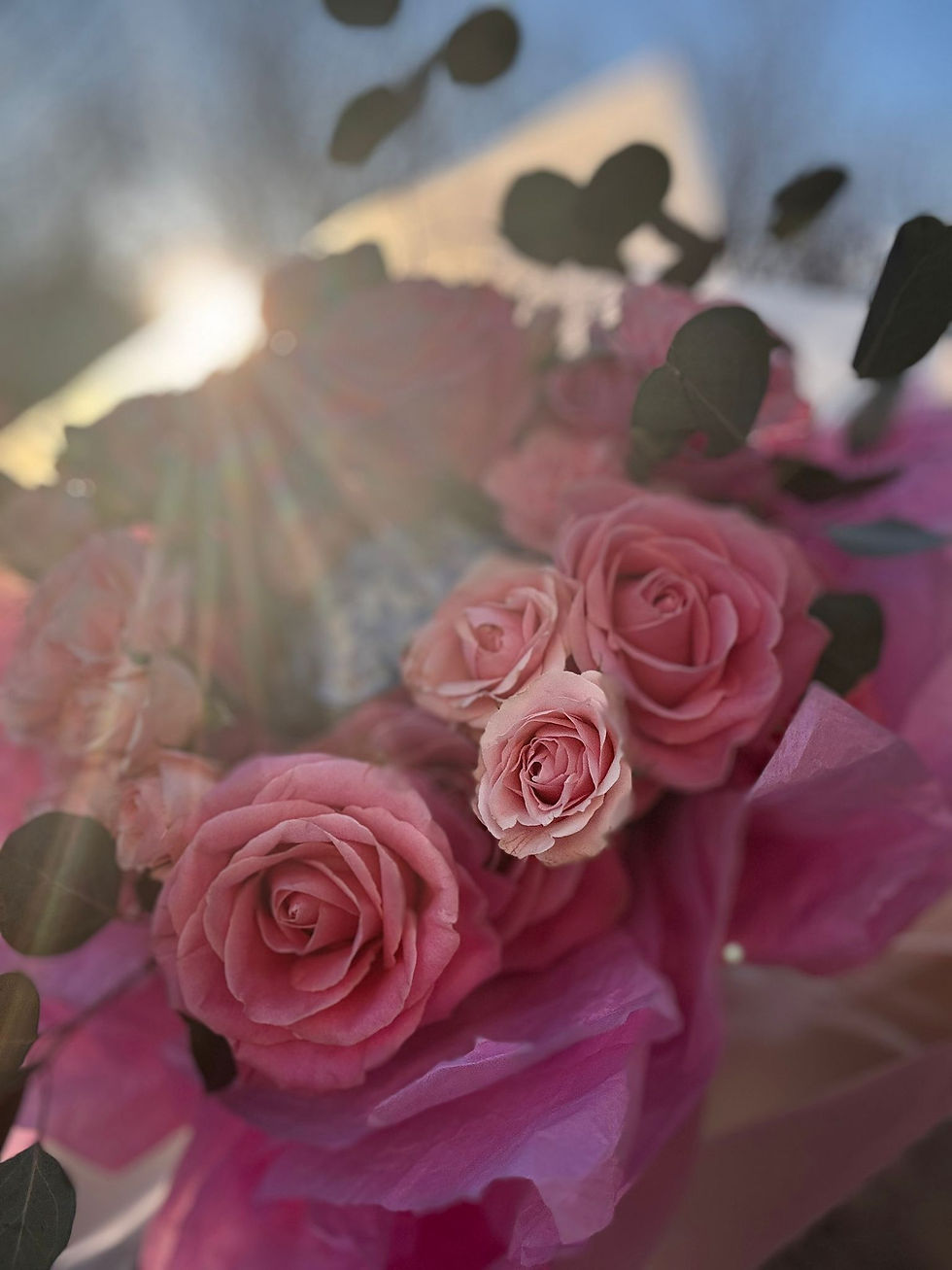 Thumbnail: On-the-Fly (6)