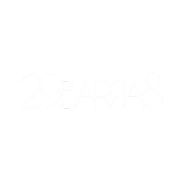 29barra8_logo7-removebg-preview.png