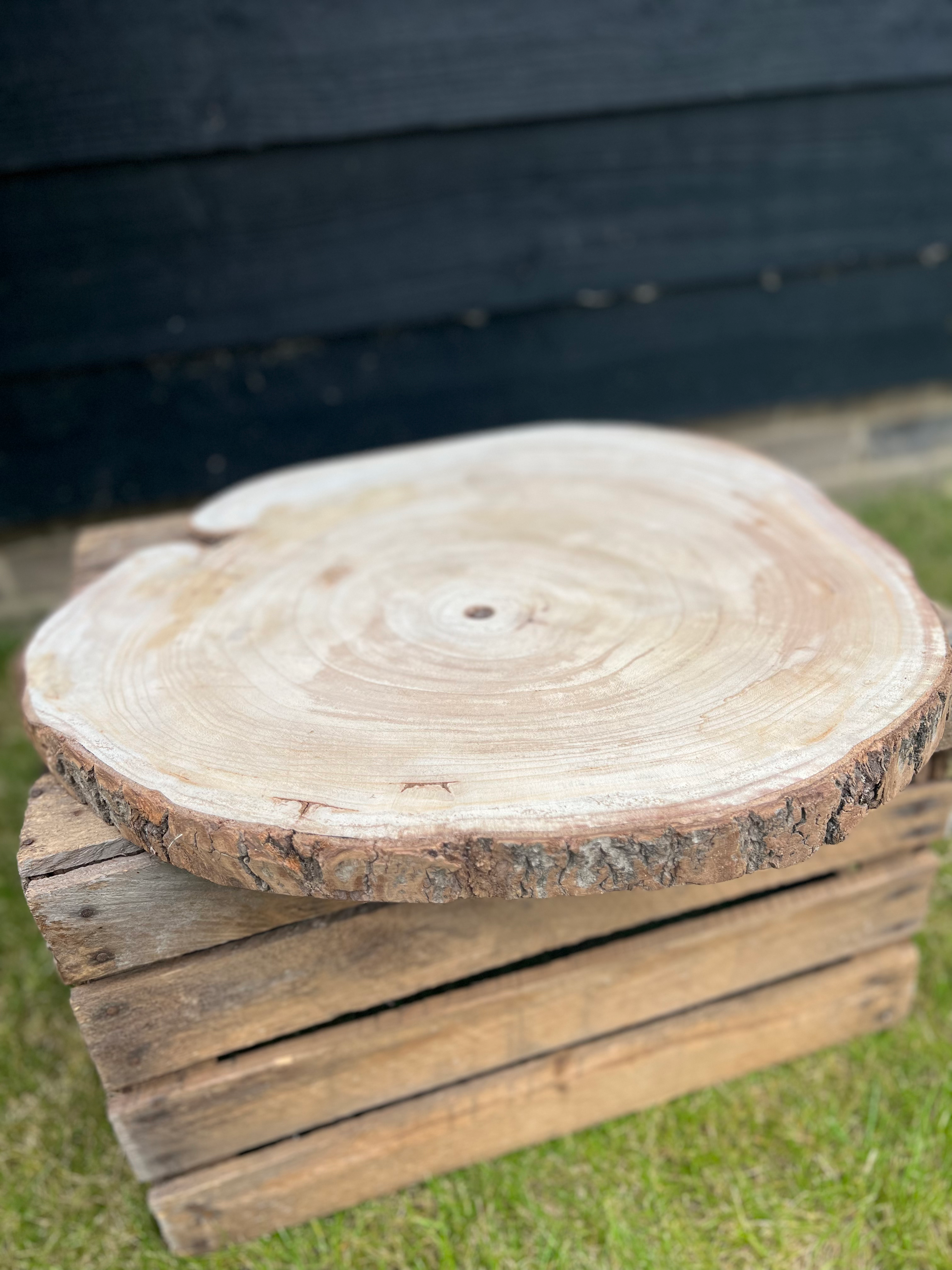 Large log slices