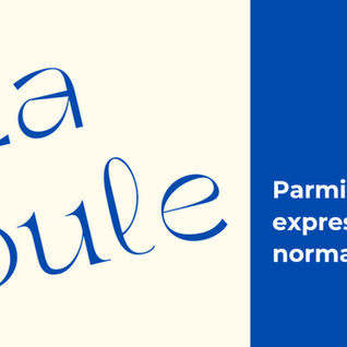 La "goule" parmi les vieilles expressions populaires normandes !