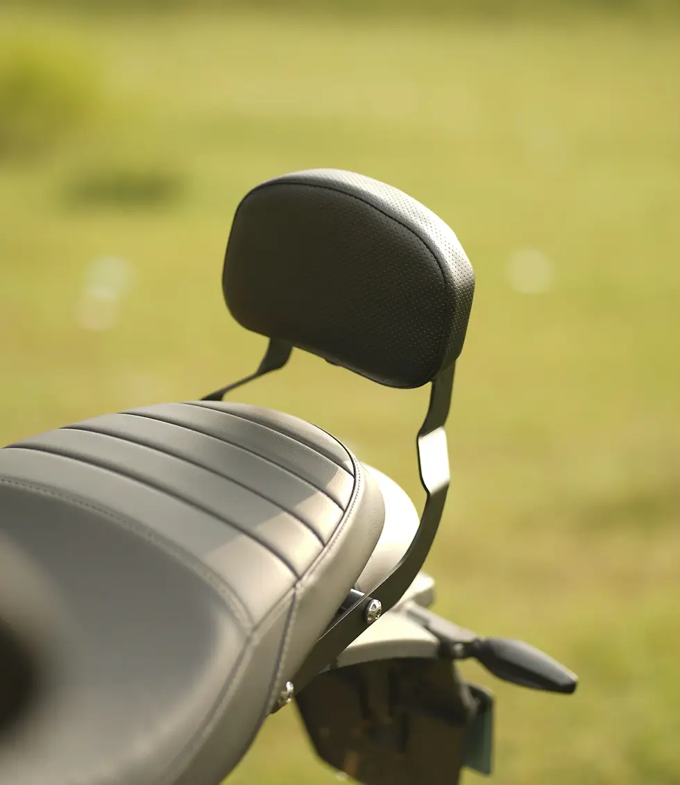 MotoTorque - BACK REST FOR TRIUMPH SPEED 400