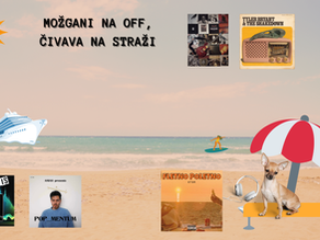 MOŽGANI NA OFF, ČIVAVA NA STRAŽI…