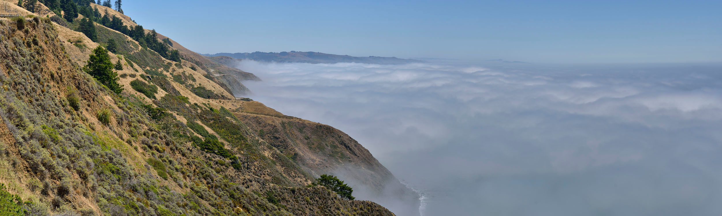 Foggy Morning on Coastal Highway, CA