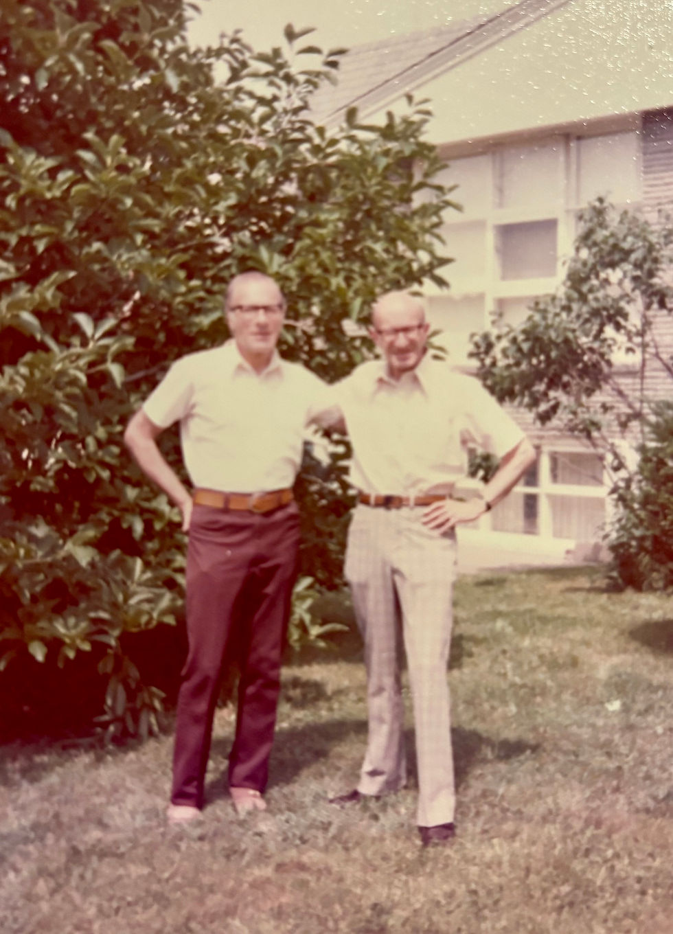 Horst (Howard) and Wolfgang (Walter) Plessner