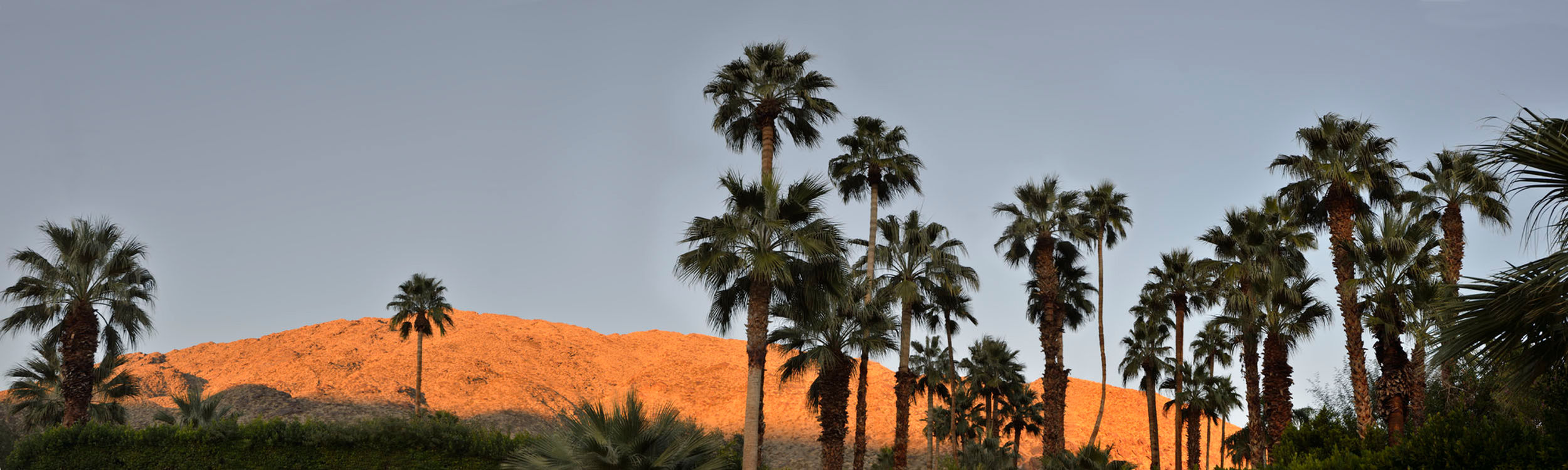 Palm Springs Dawn