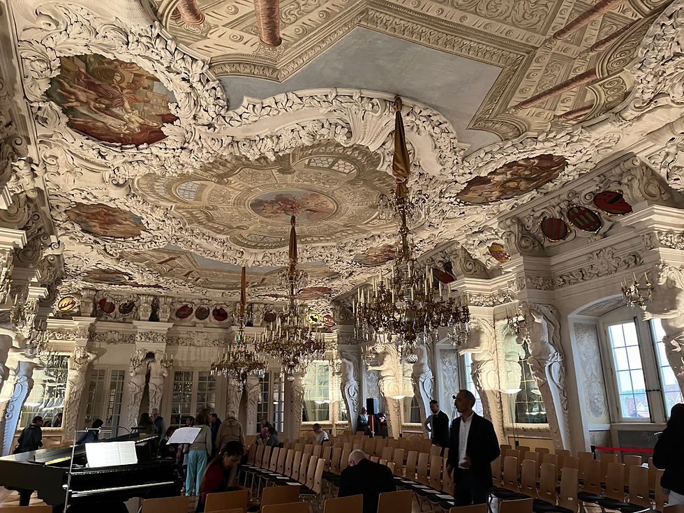 Amazing Ceiling in Schloss Ballroom