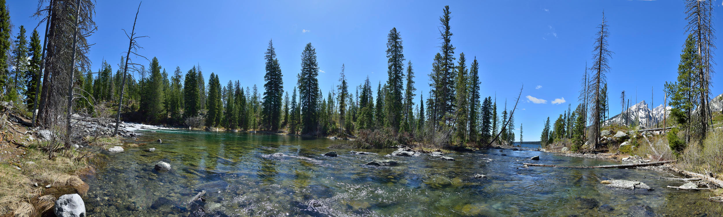 Cascade Creek at Lake Jenny, Teton NP