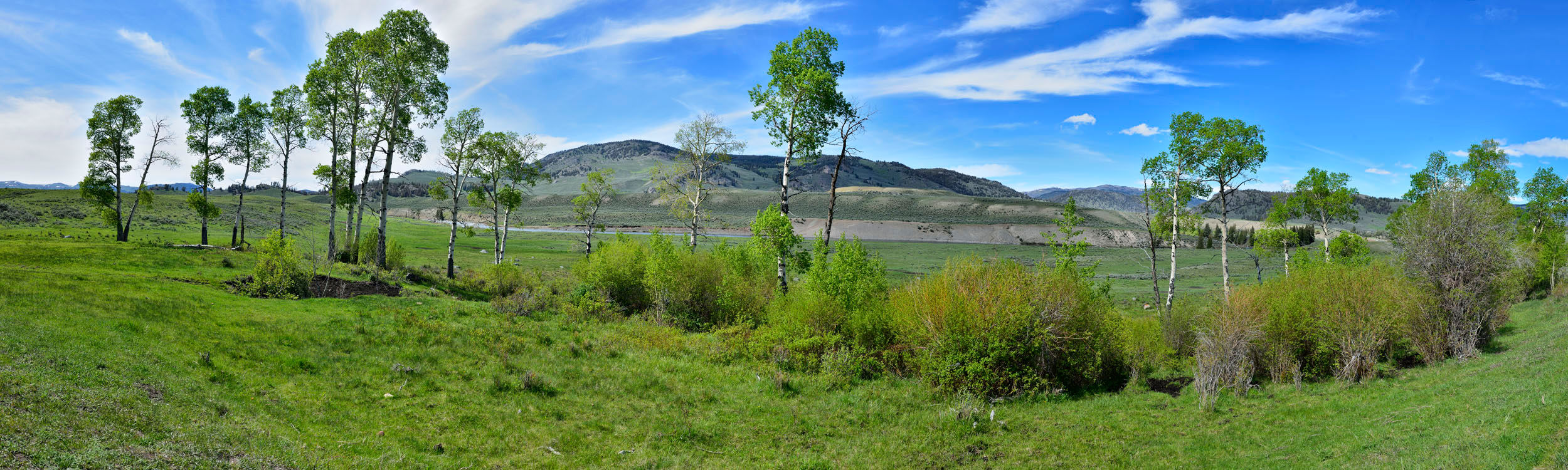 Larimar Valley, Yellowstone NP