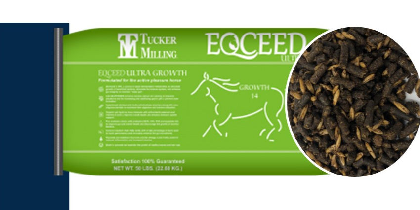 Tucker Eqceed Ultra Growth