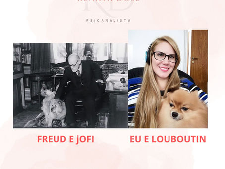 Presença Animal no Divã: O Poder Terapêutico dos pets