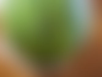 暑い夏にはやっぱり!!