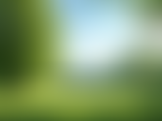 Navigating Stress and Anxiety in the Current U.S. Political Climate