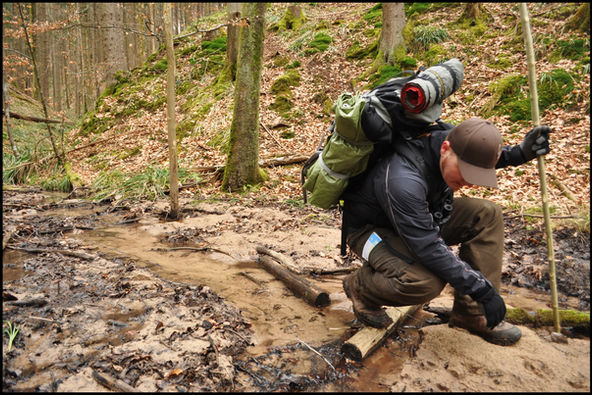 wildschweinfährte2.jpg