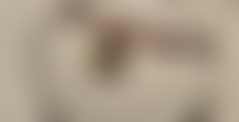 Dessert in 1923 on board Disney Wish Class Ship Rotational Dining