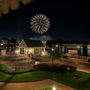 Disney World Deluxe Resort Firewoods