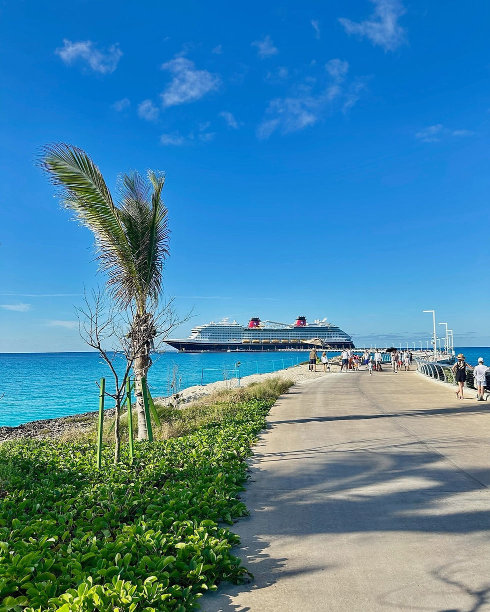 A cruise ship is docked near a path lined with palm trees and greenery. People walk along the path under a clear blue sky.