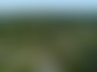 The Ultimate Guide to Drone Photography NJ for Real Estate