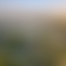 How Drone Photography NJ Elevates Real Estate Marketing