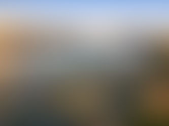 How Drone Photography Real Estate Services Boost NYC Listings