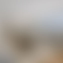 Matterport NYC: Elevate Listings With 3D Virtual Tours and Virtual Walkthroughs